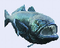 Fishwiper.PNG