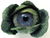 Cabbage eye.jpg