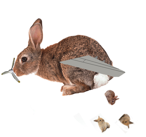 Bunnyplane.png