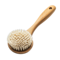 dish brush - buy