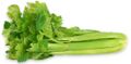 Celery - Purchase