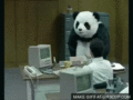 Panda smash office.gif