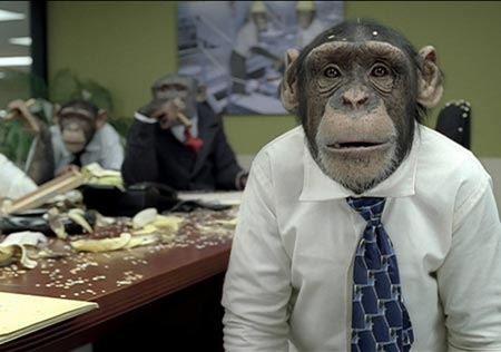 Archivo:Chimp oficina.jpg
