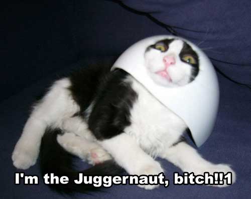 Archivo:Gato Juggernaut.jpg