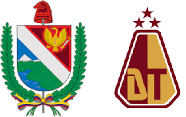 Archivo:Los dos escudos Oficiales del Tolima.png