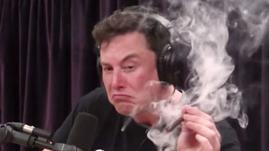 Archivo:Musk.png