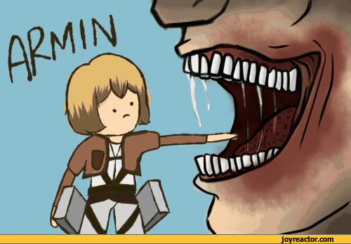 Archivo:Armout Armin.gif