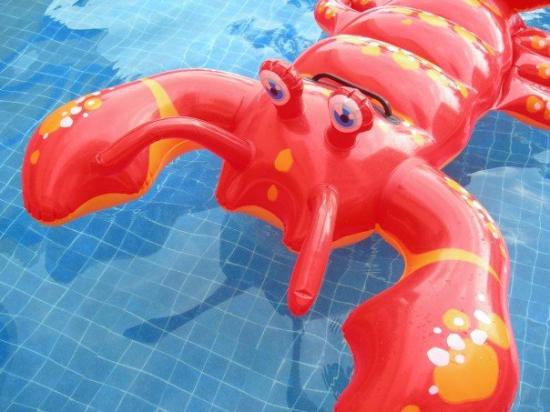 Archivo:Lobster in the pool.jpg