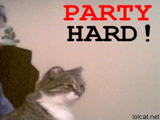 Archivo:Party hard cat2.gif