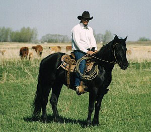Archivo:Cowboy.jpg