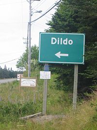 Archivo:Bienvenidos a Dildo.jpg