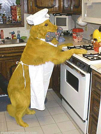 Archivo:Perro cocinando.gif
