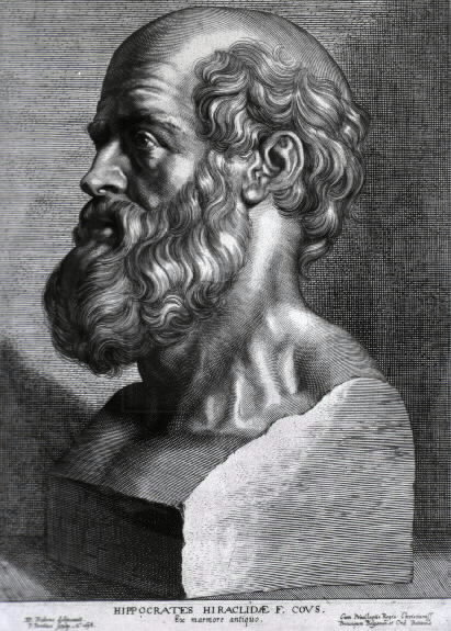 Archivo:Hippocrates rubens.jpg