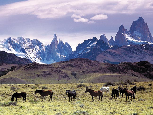 Archivo:Patagonia Argentina.jpg