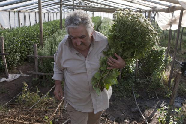Archivo:Presidente Uruguay Jose Mujica.jpg
