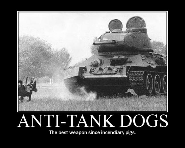 Archivo:Antitankdog.jpg