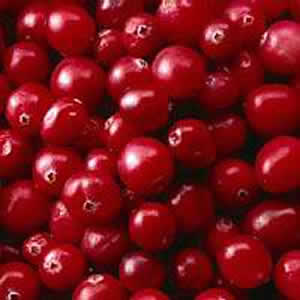Archivo:Cranberries original.jpg