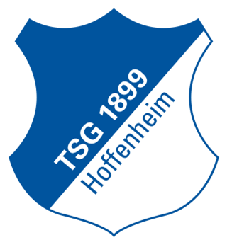 Archivo:Hoffenheim.png