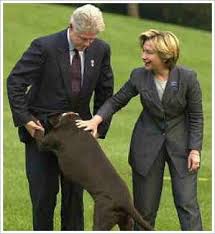 Archivo:Dog Bill Hillary.jpg