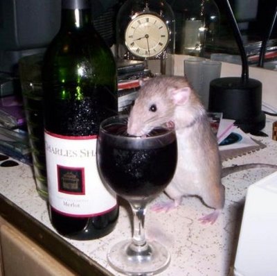 Archivo:Rata alcoholica.jpg