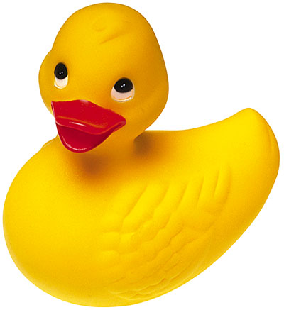 Archivo:Pato amarillo.jpg
