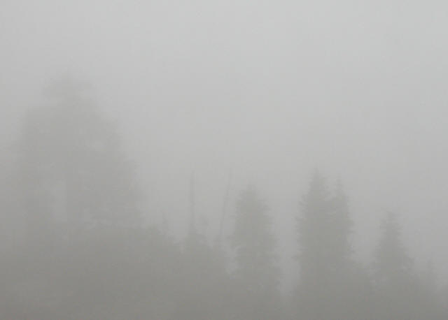 Archivo:Niebla.jpg