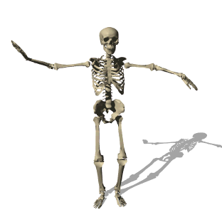 Baila esqueleto.gif