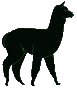 Archivo:Alpaca icon.png
