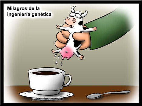 Archivo:Cafe con leche.jpg