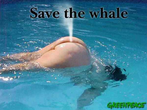 Archivo:Salvar las ballenas.jpg