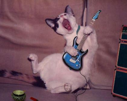 Archivo:Guitar gato.jpg