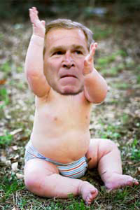Archivo:Bush baby.png