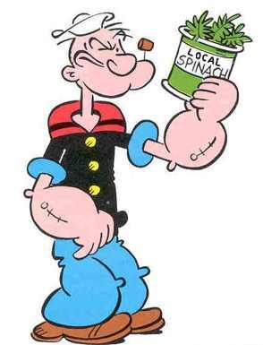 Archivo:Popeye y sus defectos.jpg