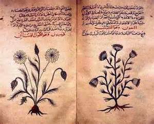 Archivo:Arabic herbal medicine guidebook.jpg