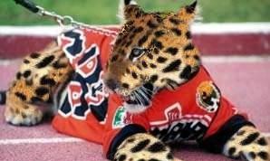 Archivo:Mascota Jaguar.jpg