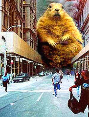 Archivo:Hamster attack.jpg