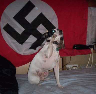 Archivo:Perro nazi.jpg
