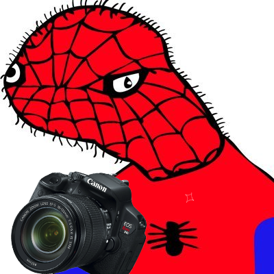 Archivo:Spiderman te fotograFÍa.png