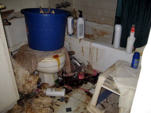 Archivo:El Toilette no lo Limpio.jpg