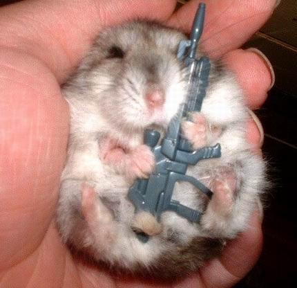 Archivo:Hamster with gun.jpg