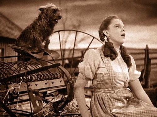 Archivo:Dorothy mira arriba.jpg
