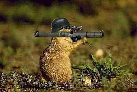 Archivo:Hamster bazooka.jpg