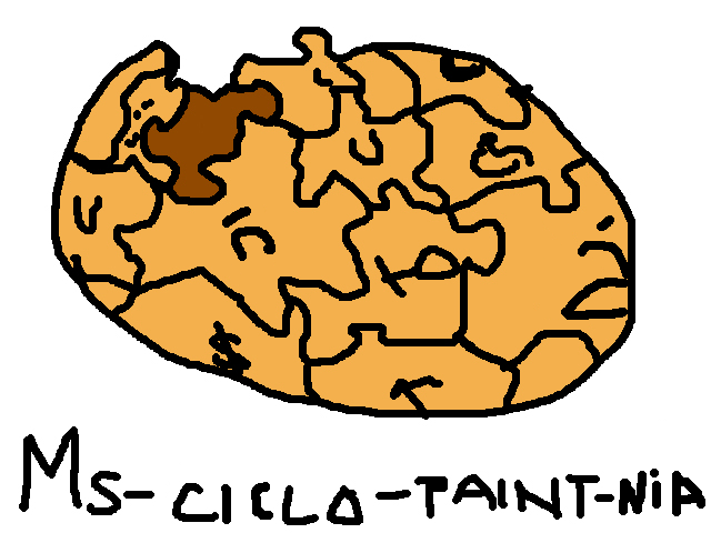 Archivo:Ms-Ciclo-Paint-Nia.PNG