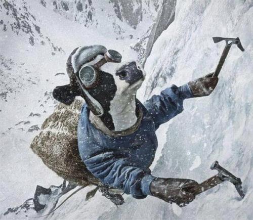 Archivo:Himalaya mountaineering .jpg