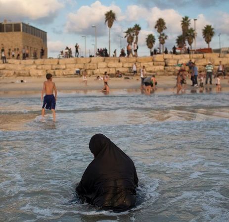 Archivo:Lobo marino en Israel.JPG
