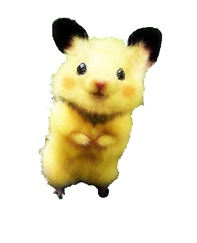 Archivo:Real-Pichu.png
