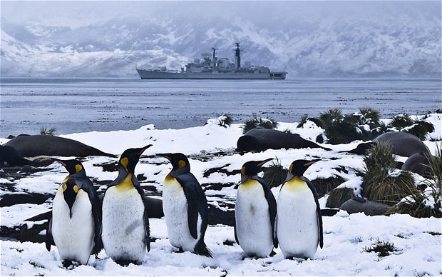 Archivo:Pingüinos Malvinas.jpg