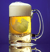Archivo:Rata cerveza.jpg