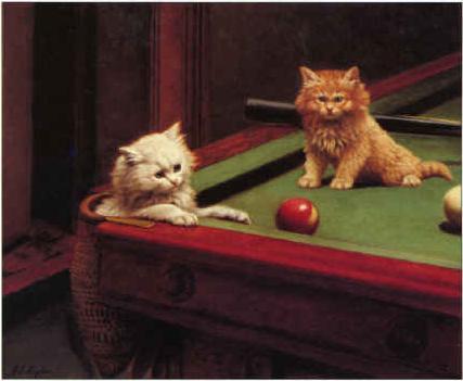 Archivo:Gatos snooker.jpg
