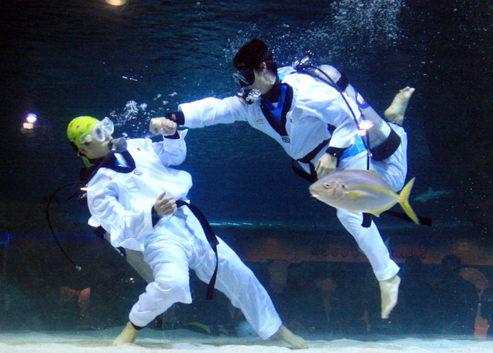 Archivo:Underwater-fight.jpg